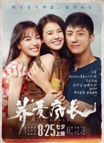 黄色片免费在线播放